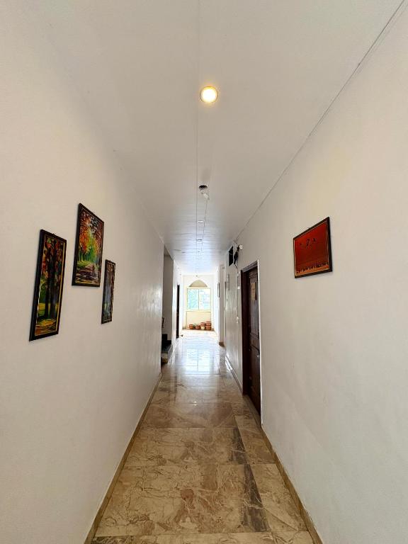 7 Days Ayurveda, Detox and Yoga,Meditation Retreat 3